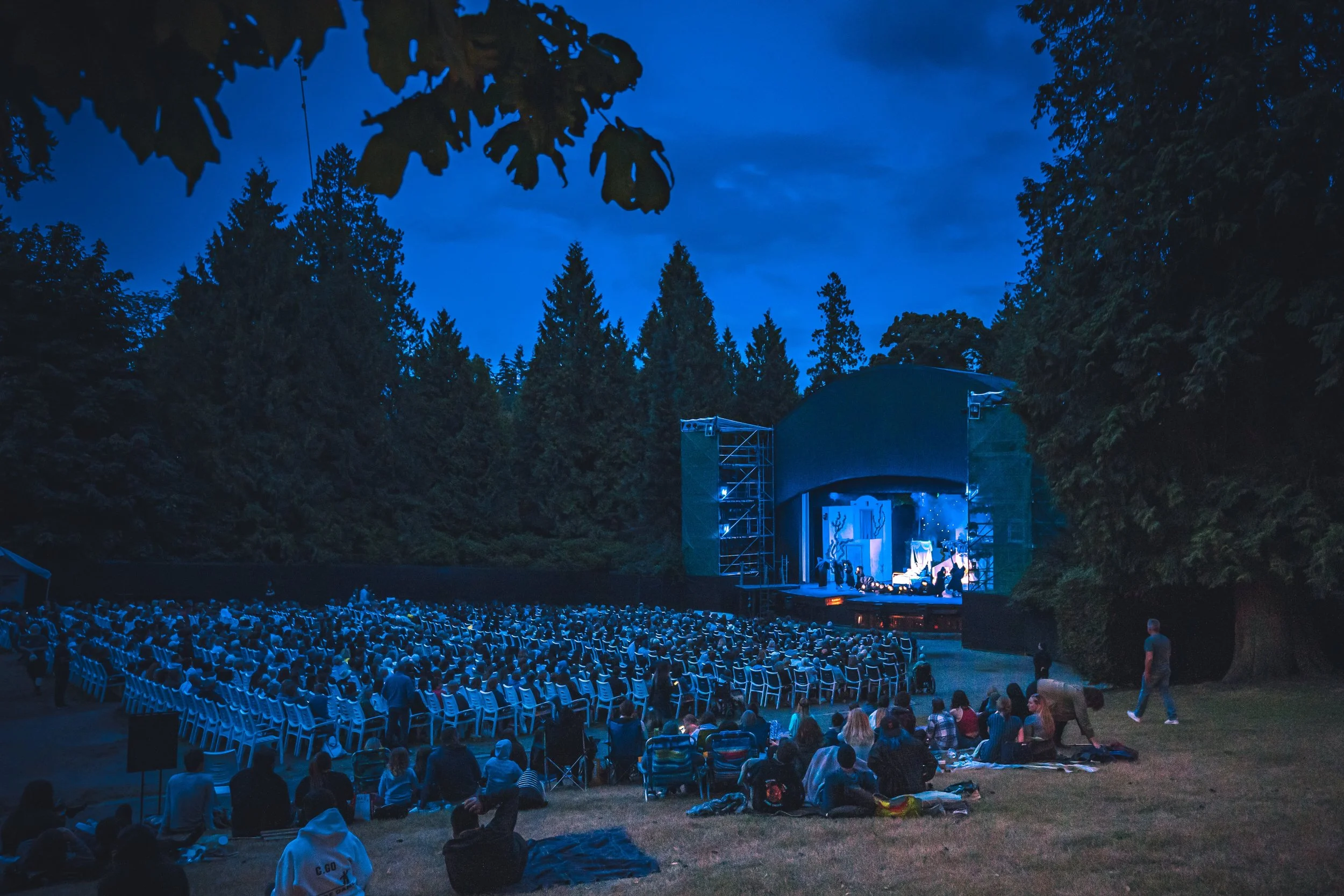 Outdoor evening concert in a park with a blue-lit stage surrounded by tall trees. Audience members are seated on chairs and grass, creating a relaxed atmosphere.